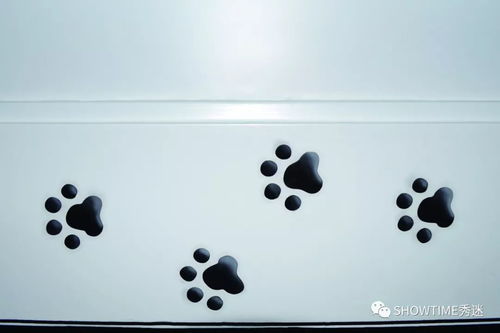 從寵物店購(gòu)買寵物狗 明智選擇還是潛在陷阱？